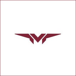 Veemann-logo
